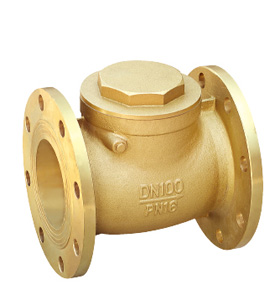Brass check valve ssf-40190