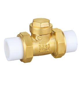 Brass check valve ssf-40200